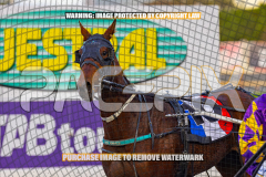 2026_PACEPIX_GP25082026_RACE1_ImCatestrophic_WIN_WEB-24