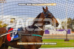2026_PACEPIX_GP25082026_RACE1_ImCatestrophic_WIN_WEB-25