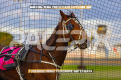 2026_PACEPIX_GP25082026_RACE1_ImCatestrophic_WIN_WEB-26