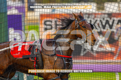 2026_PACEPIX_GP25082026_RACE1_ImCatestrophic_WIN_WEB-4