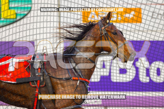 2026_PACEPIX_GP25082026_RACE1_ImCatestrophic_WIN_WEB-5