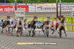 2026_PACEPIX_GP25082026_RACE1_ImCatestrophic_WIN_WEB-9