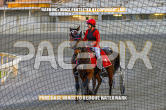 2026_PACEPIX_GP28082026_Race1_ImStealthy_WIN_WEB-10