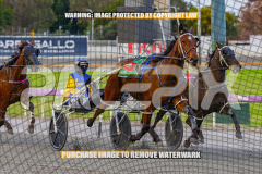 2026_PACEPIX_GP28082026_Race1_ImStealthy_WIN_WEB-2