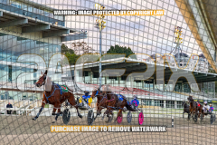 2026_PACEPIX_GP28082026_Race1_ImStealthy_WIN_WEB-5
