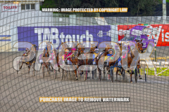 2026_Pacepix_GP31072026_Race1_ImStealthy_WIN_WEB-1