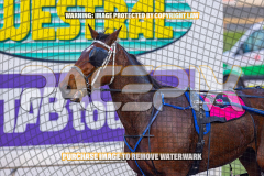 2026_Pacepix_GP31072026_Race1_ImStealthy_WIN_WEB-16