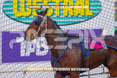 2026_Pacepix_GP31072026_Race1_ImStealthy_WIN_WEB-17