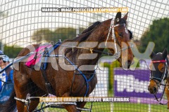 2026_Pacepix_GP31072026_Race1_ImStealthy_WIN_WEB-18