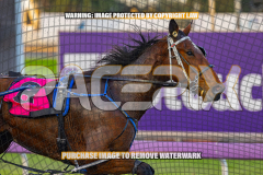2026_Pacepix_GP31072026_Race1_ImStealthy_WIN_WEB-5