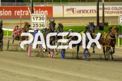 RACE 1 - In Rare Air