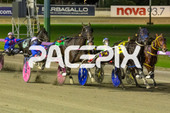 In-Rare-Air_01-05-2026_WIN_Gloucester-Park_1__02
