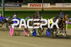 In-Rare-Air_01-05-2026_WIN_Gloucester-Park_1__03