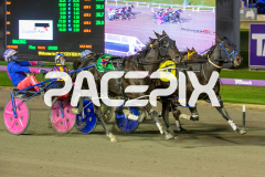 In-Rare-Air_01-05-2026_WIN_Gloucester-Park_1__04