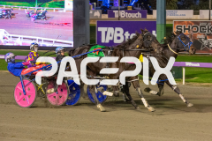 In-Rare-Air_01-05-2026_WIN_Gloucester-Park_1__05