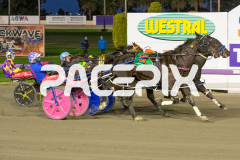 In-Rare-Air_01-05-2026_WIN_Gloucester-Park_1__07