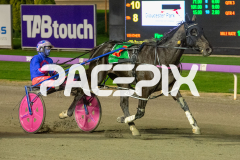 In-Rare-Air_01-05-2026_WIN_Gloucester-Park_1__09