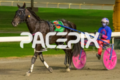 In-Rare-Air_01-05-2026_WIN_Gloucester-Park_1__10