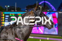 In-Rare-Air_01-05-2026_WIN_Gloucester-Park_1__11