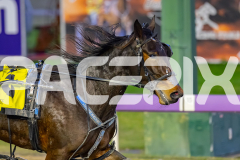 2026_PACEPIX_GP02062026_RACE1_Insurgency_WIN_WEB-11