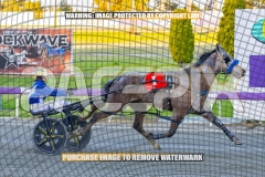 2026_PACEPIX_GP22092026_RACE1_Itsoktobegrey_WIN_WEB-11