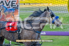 2026_PACEPIX_GP22092026_RACE1_Itsoktobegrey_WIN_WEB-13