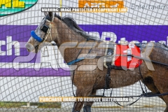 2026_PACEPIX_GP22092026_RACE1_Itsoktobegrey_WIN_WEB-17