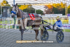 2026_PACEPIX_GP22092026_RACE1_Itsoktobegrey_WIN_WEB-18