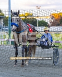 2026_PACEPIX_GP22092026_RACE1_Itsoktobegrey_WIN_WEB-19