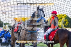 2026_PACEPIX_GP22092026_RACE1_Itsoktobegrey_WIN_WEB-20