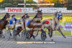 2026_PACEPIX_GP22092026_RACE1_Itsoktobegrey_WIN_WEB-3