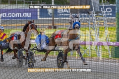 2026_PACEPIX_GP22092026_RACE1_Itsoktobegrey_WIN_WEB-5