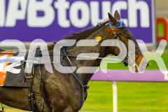 2026_PACEPIX_GP15052026_Race1_KINKY_WIN_WEB-5