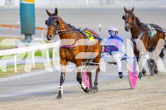 2025_PACEPIX_GP04072025_Race1_LadyCamel_WIN_WEB-11