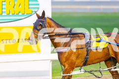 2025_PACEPIX_GP04072025_Race1_LadyCamel_WIN_WEB-12