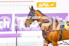 2025_PACEPIX_GP04072025_Race1_LadyCamel_WIN_WEB-13