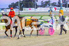 2025_PACEPIX_GP04072025_Race1_LadyCamel_WIN_WEB-14