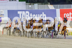 2025_PACEPIX_GP04072025_Race1_LadyCamel_WIN_WEB-3