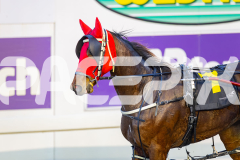 2025_PACEPIX_GP08072025_Race1_LadyDelaHoya_WIN_WEB-11