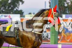 2025_PACEPIX_GP08072025_Race1_LadyDelaHoya_WIN_WEB-13