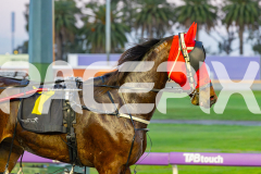 2025_PACEPIX_GP08072025_Race1_LadyDelaHoya_WIN_WEB-14