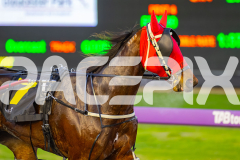 2025_PACEPIX_GP08072025_Race1_LadyDelaHoya_WIN_WEB-9