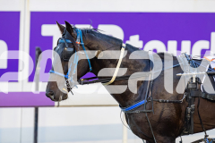 2026_PACEPIX_GP24042026_RACE1_LastHardCopy_WIN_FULL-22