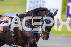2026_PACEPIX_GP24042026_RACE1_LastHardCopy_WIN_FULL-3