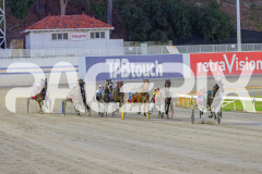 2025_PACEPIX_GP16052025_Race1_LionQueen_WIN_WEB-1