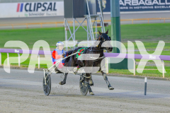 2025_PACEPIX_GP16052025_Race1_LionQueen_WIN_WEB-2