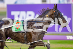2025_PACEPIX_GP16052025_Race1_LionQueen_WIN_WEB-6