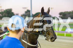 2025_PACEPIX_GP16052025_Race1_LionQueen_WIN_WEB-9