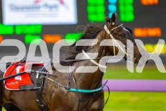 2025_PACEPIX_GP25072025_Race1_LordLogan_WIN_WEB-2