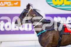 2025_PACEPIX_GP25072025_Race1_LordLogan_WIN_WEB-22